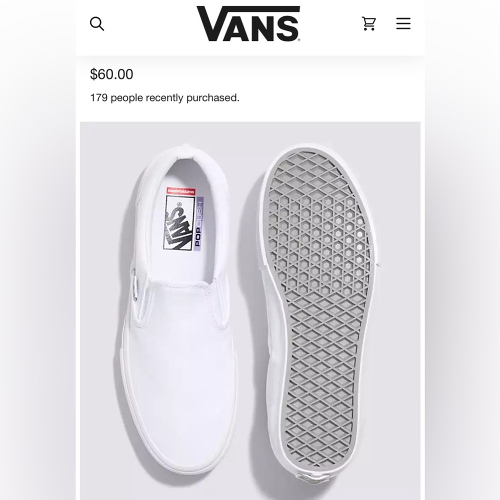 VANS SKATE SLIP ON SHOE | WHITE